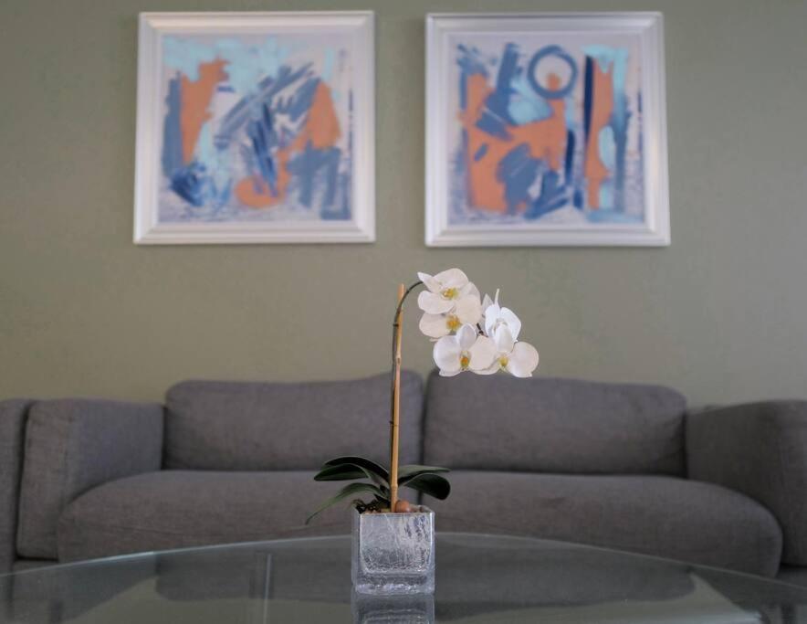 Urban Executive Stay San Jose  Bagian luar foto